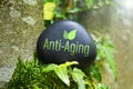 Anti-Aging